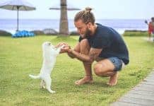 5 Reasons Why a Dog Really is Man’s Best Friend?