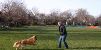 A Friend Took A Photo Of Her Spreading Her Dog’s Ashes – And It Caught