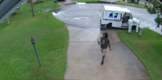Security Cam Catches Neighbor’s Dog Stealing Delivery Packages Off Doorstep