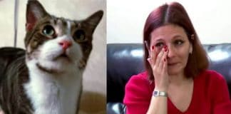 Frantic Cat Leads Mom To Her Daughter’s Bedroom Door And Inside, A Terrifying Sight