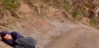 Starving Stray Dog Sees Lady Lying Lifeless On Ground— What Unfolds Next Is Tear-jerking