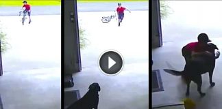 Security Cam Catches Little Boy Sneaking Into Garage To Steal Quick Hug From A Dog
