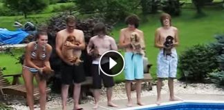 These 5 Teens Have Their Dogs Ready For An Epic Race. Once They Hit The Water, I Am Cracking Up