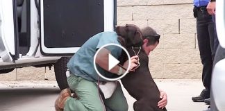 This Dog Was Raised By A Prison Inmate. But When It’s Time To Say Goodbye? I’m Drying My Tears!