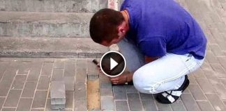 Dude Starts To Dig When He Hears Cries From Under The Sidewalk. What He Found Made Everyone Gasp