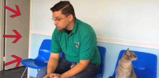 See That Door? A Dog That This Man Lost 8 Years Ago Is About To Walk Through It