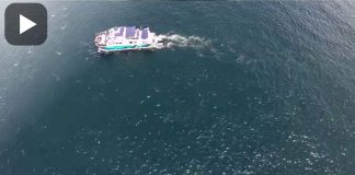 He Flies A Camera Over The Ocean. When It Zooms In, My Jaw Drops!! Omg!