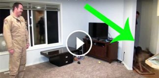 Soldier Meets Dog After A Long Time Overseas. But Its What The Dog Did Next That Touched My Heart