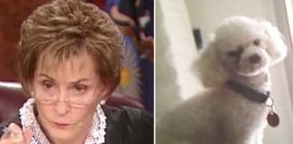 Two People Fight Over A Dog In Judge Judy’s Court – Now Watch When She Asks For The Dog To Be Let Loose