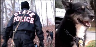 Cop Gives “Unadoptable” Dog Second Chance. 4 Years Later, She Leads Him To The Woods For Stunning Discovery