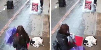 Woman Has No Clue She’s Being Filmed. Footage Of Her Gesture Towards Shivering Stray Dog Is Going Viral