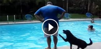 He Was Standing Right On The Edge Of That Pool. But Watch When That Dog Comes Running From Behind