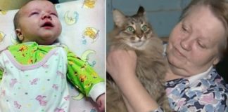 Baby Is Abandoned And Left To Freeze To Death – But Now Watch What This Cat Does