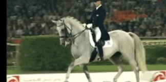Horse Started Running. Now Watch When The Music Changed – 16 Million People Were Out Of Words