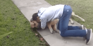 Mom Calls Son Outside, But Then He Sees Beloved Dog He Lost 8 Months Ago And Completely Loses It