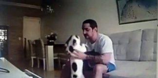 Woman Catches Fiancé On Hidden Camera With Her Dogs, Immediately Calls Off Wedding